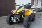 Can Am Renegade 800R