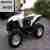 Can am renegade