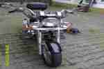 Chopper Daeliem VL Daystar 125 Original 3500