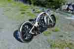 Custombike La Vida Loca 3 Platz European Bike