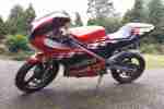 DERBI GPRR REPLICA BJ. 2003 MOPED 50IGER