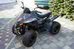 DINLI Masai L 150 Quad 9 PS NUR 832 KM Dirt