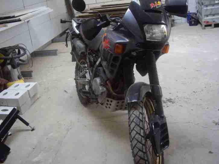 DOMINATOR 650 - RD 02