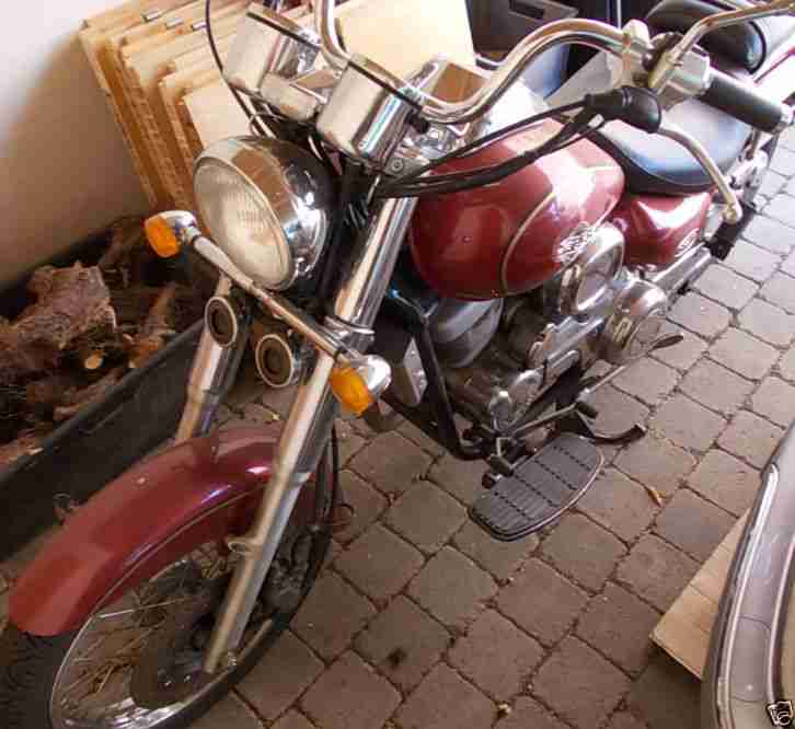 Daelim daystar sehr gut - Winterpreis