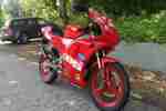 Derbi GPR 50 Originale 1980 Km RAR