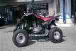 Dinli 450 Trasher