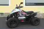 Dinli DL 801 300R Offroad Quad Garantie bis