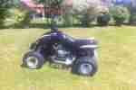 Dinli Quad 450 Spezial S