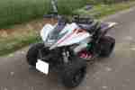 Dinli Quad m. Rückwärtsgang DL 801 300R