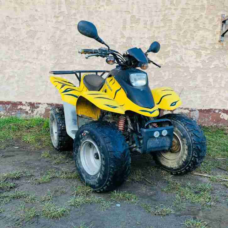 ??Dinli / Sachs T-Rex 100 ccm | Automatik | Quad ATV UTV Buggy | Zulassung |