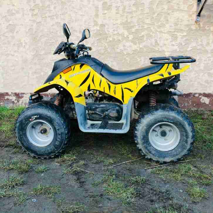 ??Dinli / Sachs T-Rex 100 ccm | Automatik | Quad ATV UTV Buggy | Zulassung |