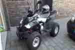 E TON Vector ST. 300 Quad ATV