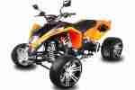 EGL MadMax 300cc Racing Quad mit