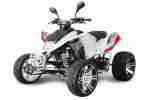 EGL MadMax 300cc Racing Quad mit