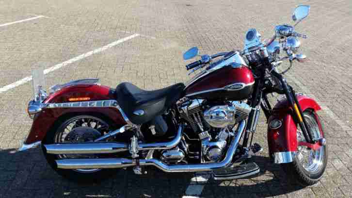 Einzigartige Harley Davidson FLSTSC Softail