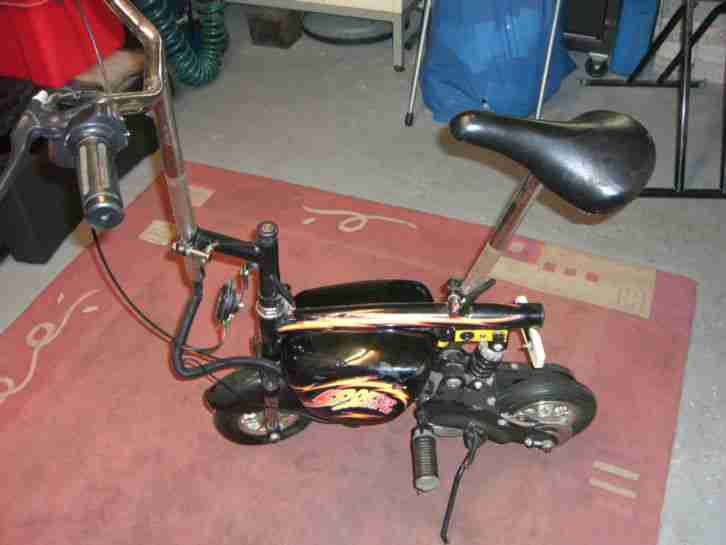 Elektro Roller(Scooter) akkus müssen getauscht werden Zustand siehe Fotos.