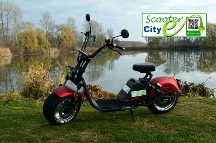 Elektro Citycoco E Scooter HL3.0
