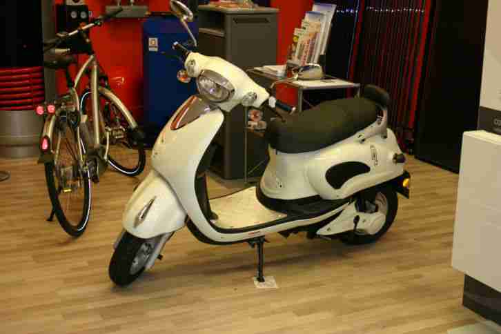 Elektroroller mit 45 km/h Zulassung