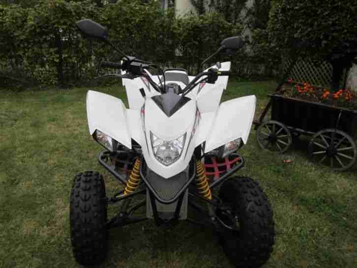 Explorer Trasher 320 off Road Quad