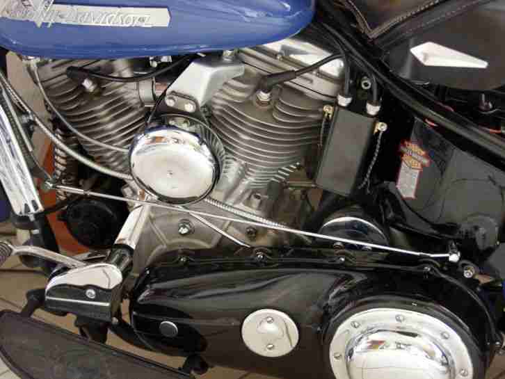 Extrem seltene Harley-Davidson Panhead FLEF 1955, Original-Museumszustand