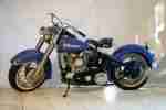 Extrem seltene Harley Davidson Panhead FLEF