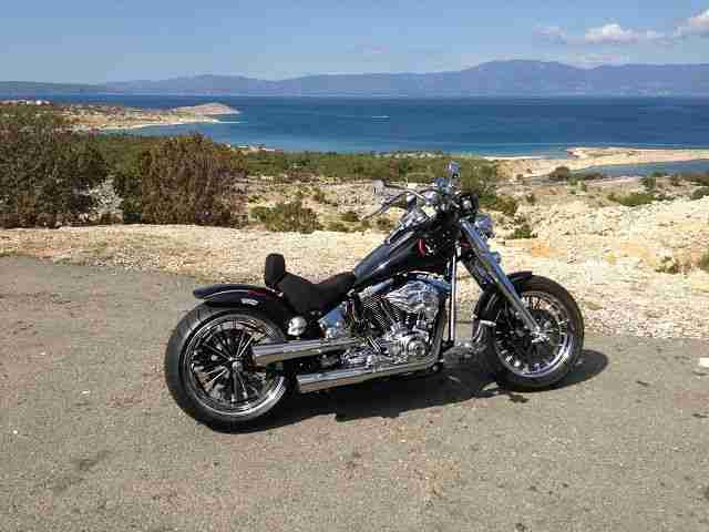 F A T- B O Y SKULL Edition