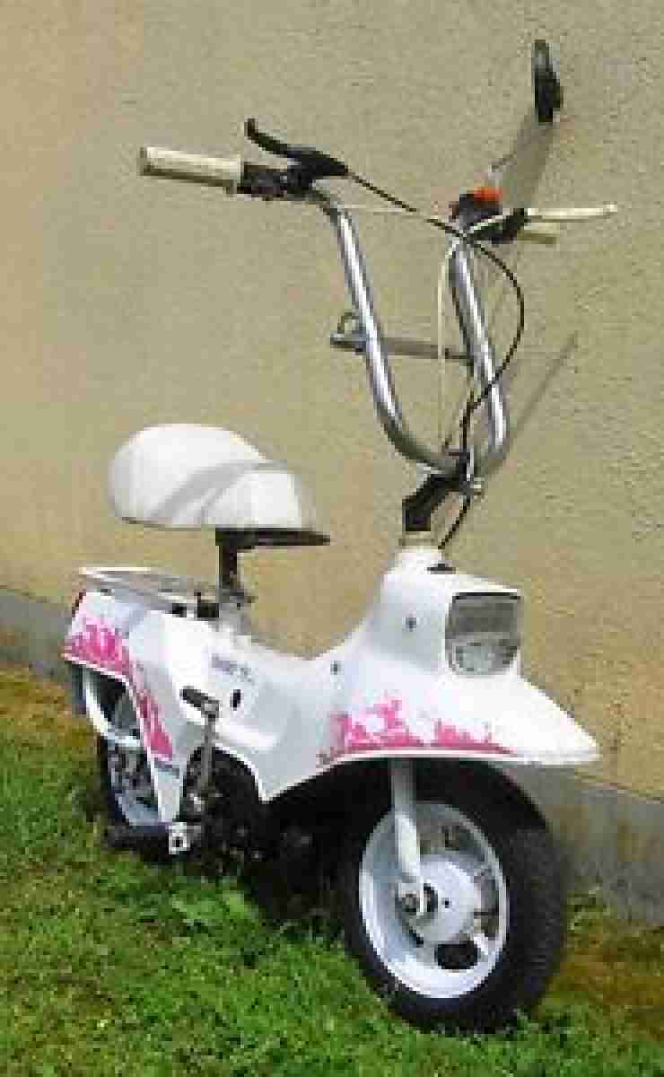 Fantic 50 Camping Mini Bike Top Zustand