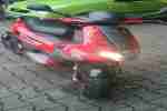 GILERA RUNNER Malossi Version, Purejet,