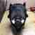 GSXR 1000 K7