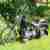 Gepflegte Harley Davidson