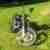 Gepflegte Harley Davidson