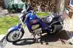 Gilera Eaglet Chopper 50er Typ 503 Bj 1997