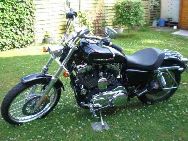 HARLEY DAVIDSON 1200 SPORTSTER CUSTOM