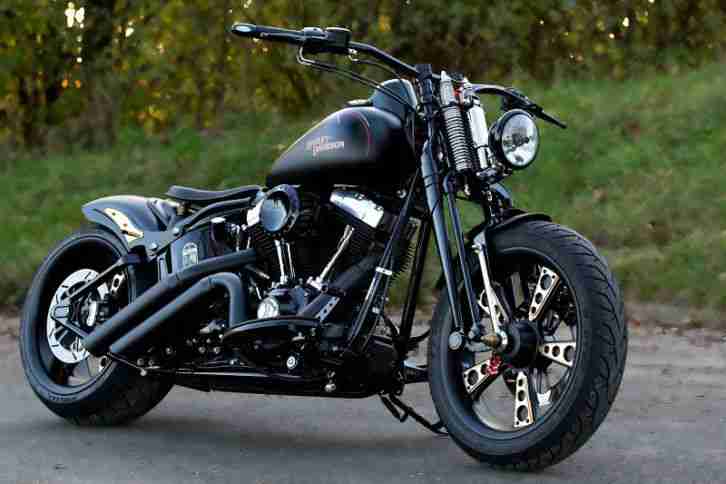 HARLEY DAVIDSON Cross Bones FLSTSB