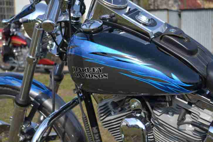 HARLEY DAVIDSON SOFTAIL CUSTOM