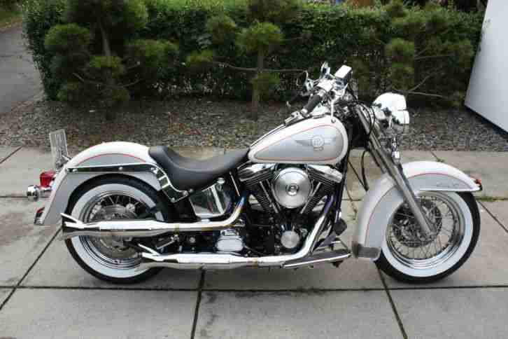 HARLEY DAVIDSON SOFTAIL SPECIAL "NOSTALGIA" "MOO KUH" 340 STK. LIMITIERT!