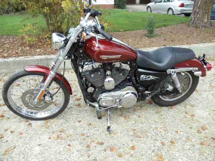 HARLEY DAVIDSON SPORTSTER XL 1200 CUSTOM 2009 TOP