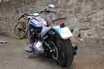 HARLEY DAVIDSON Softail Slim FLS Penzl