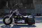 HARLEY DAVIDSON Softail Slim FLS Penzl sehr