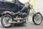 HARLEY STYLE CHOPPER WIE BIG DOG BJ2010 UNTER