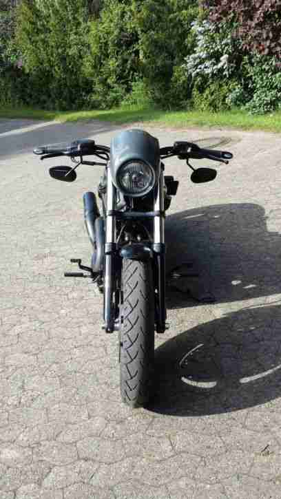HD Night Rod Special un,umfallfrei/Airride/Klappenauspuff/260erReifen/Heckumbau