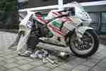 CBR 600 RR PC37 Rennmaschine