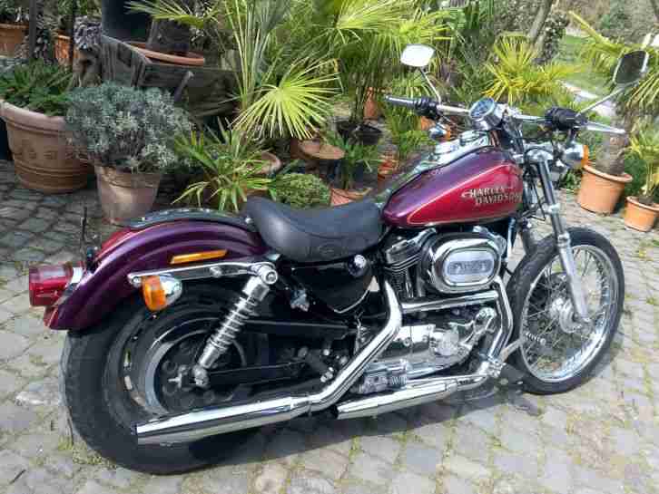 Harley 1200 Custom
