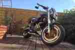 Harley Buell XB 12 Street Fighter Naked umbau