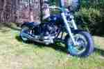 Harley Custom Bike