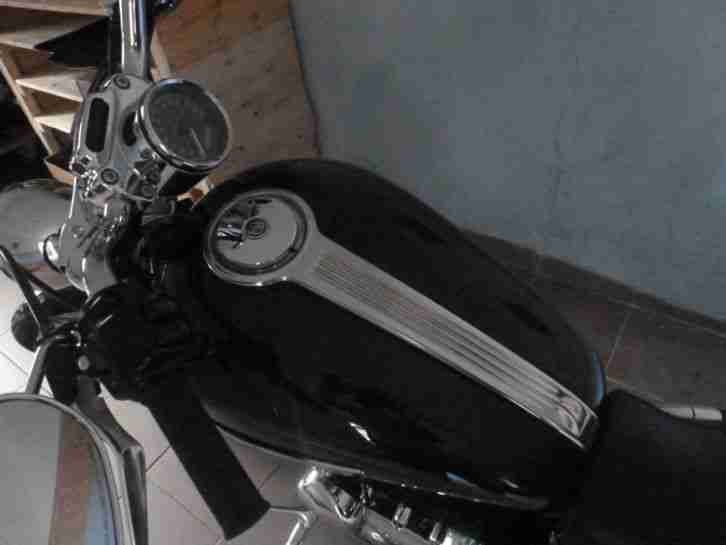 Harley Davidson 1200 Sportster Custum