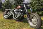 Harley Davidson