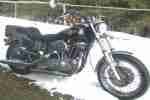 Harley Davidson 1981 Sportster XLH 1000 IM