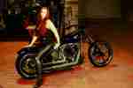 Harley Davidson 95cuin Twin Cam Softail