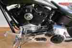 Harley Davidson Amerikan Ironhorse Tejas 107